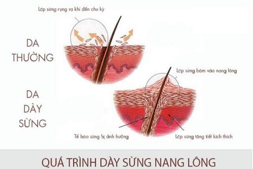 day sung nang long 03.jpg